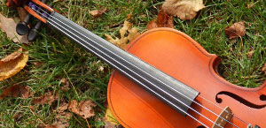 チケットが必要ですか？提供いたします。